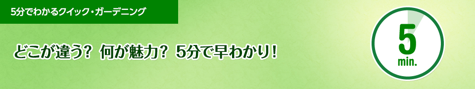 未経験でも始められる 庭木 植木カットデザイナー クイック ガーデニング 植木職人 庭師 造園工として独立開業 収入 年収