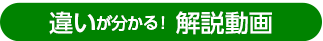 違いが分かる！解説動画