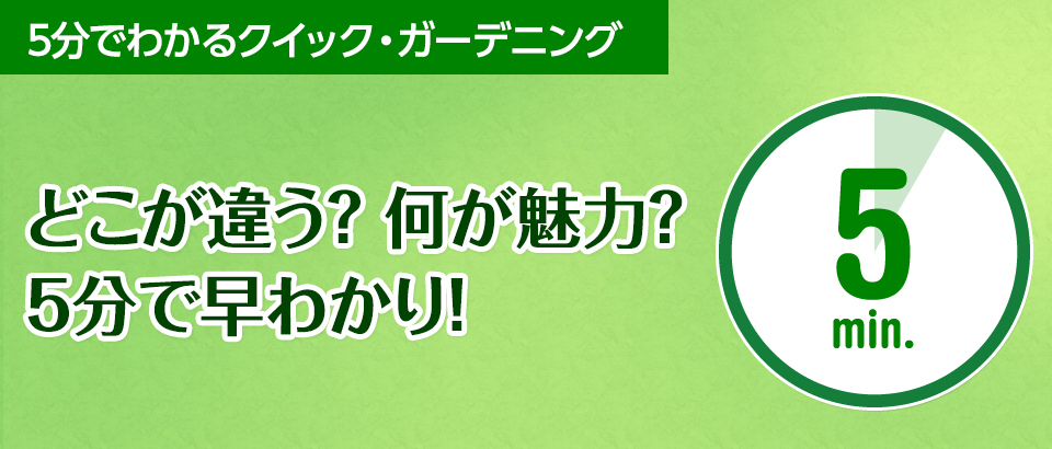 5分でわかるクイック・ガーデニング